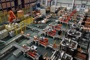 高效精准的流水线条码检测机器视觉产品及技术服务推荐